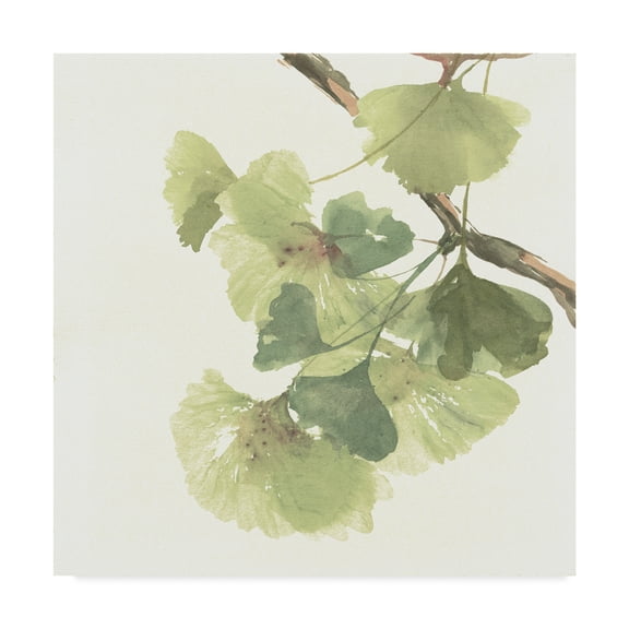 Trademark Fine Art 'Gingko Leaves II on White' Canvas Art by Chris Paschke