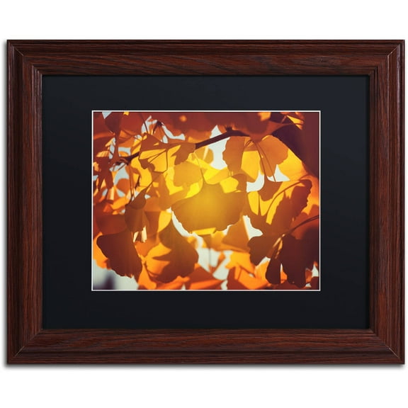 Trademark Fine Art "Ginkgo Leaves" Canvas Art by Philippe Sainte-Laudy Black Matte, Wood Frame