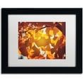 thumbnail image 1 of Trademark Fine Art "Ginkgo Leaves" Canvas Art by Philippe Sainte-Laudy White Matte, Black Frame, 1 of 1