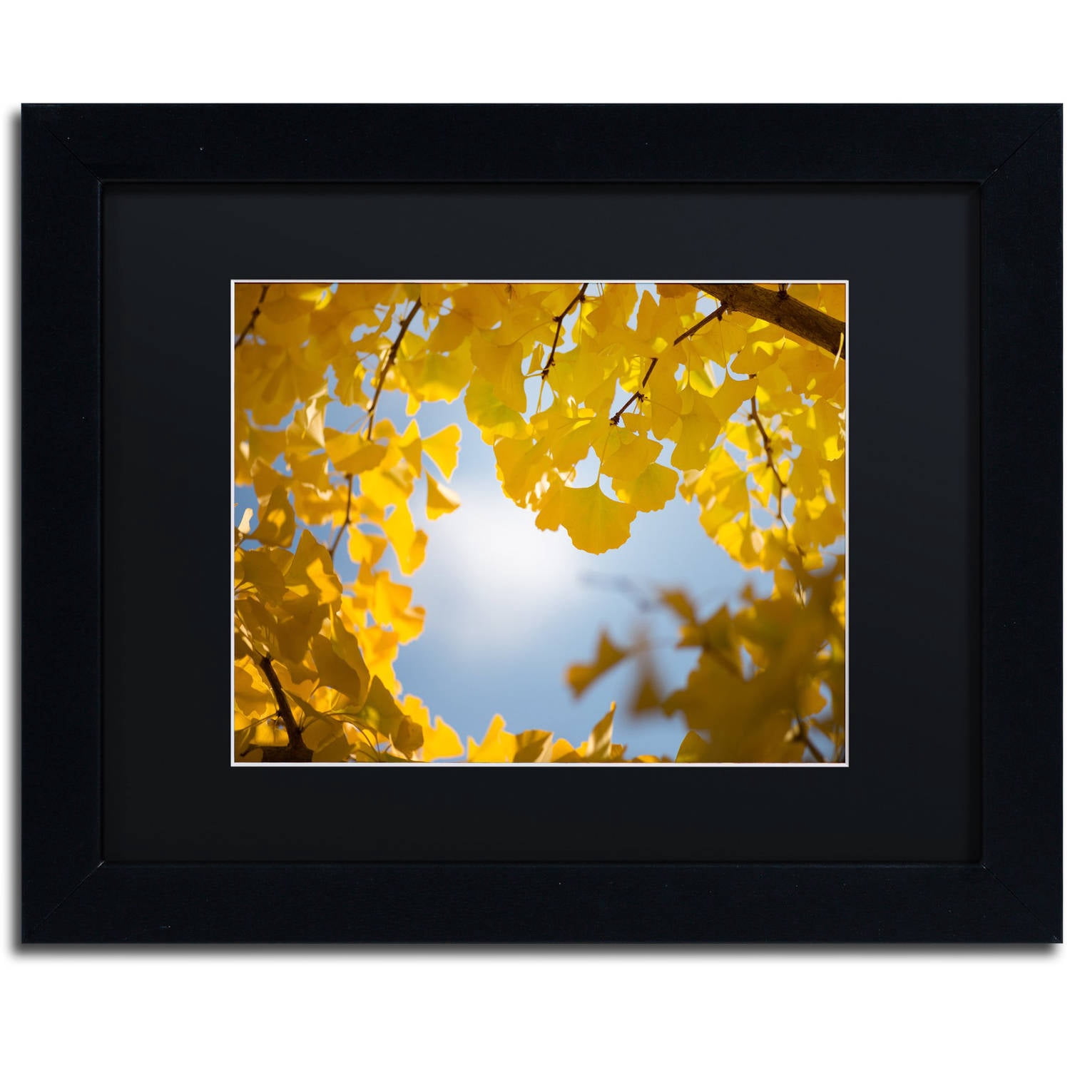Trademark Fine Art "Ginkgo Leaves in Autumn" Canvas Art by Philippe Sainte-Laudy Black Matte, Black Frame
