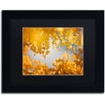 thumbnail image 1 of Trademark Fine Art "Ginkgophytes" Canvas Art by Philippe Sainte-Laudy Black Matte, Black Frame, 1 of 5