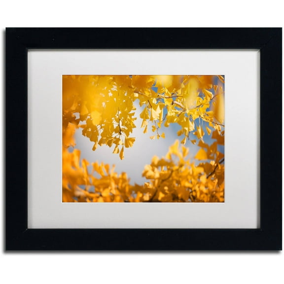 Trademark Fine Art "Ginkgophytes" Canvas Art by Philippe Sainte-Laudy White Matte, Black Frame