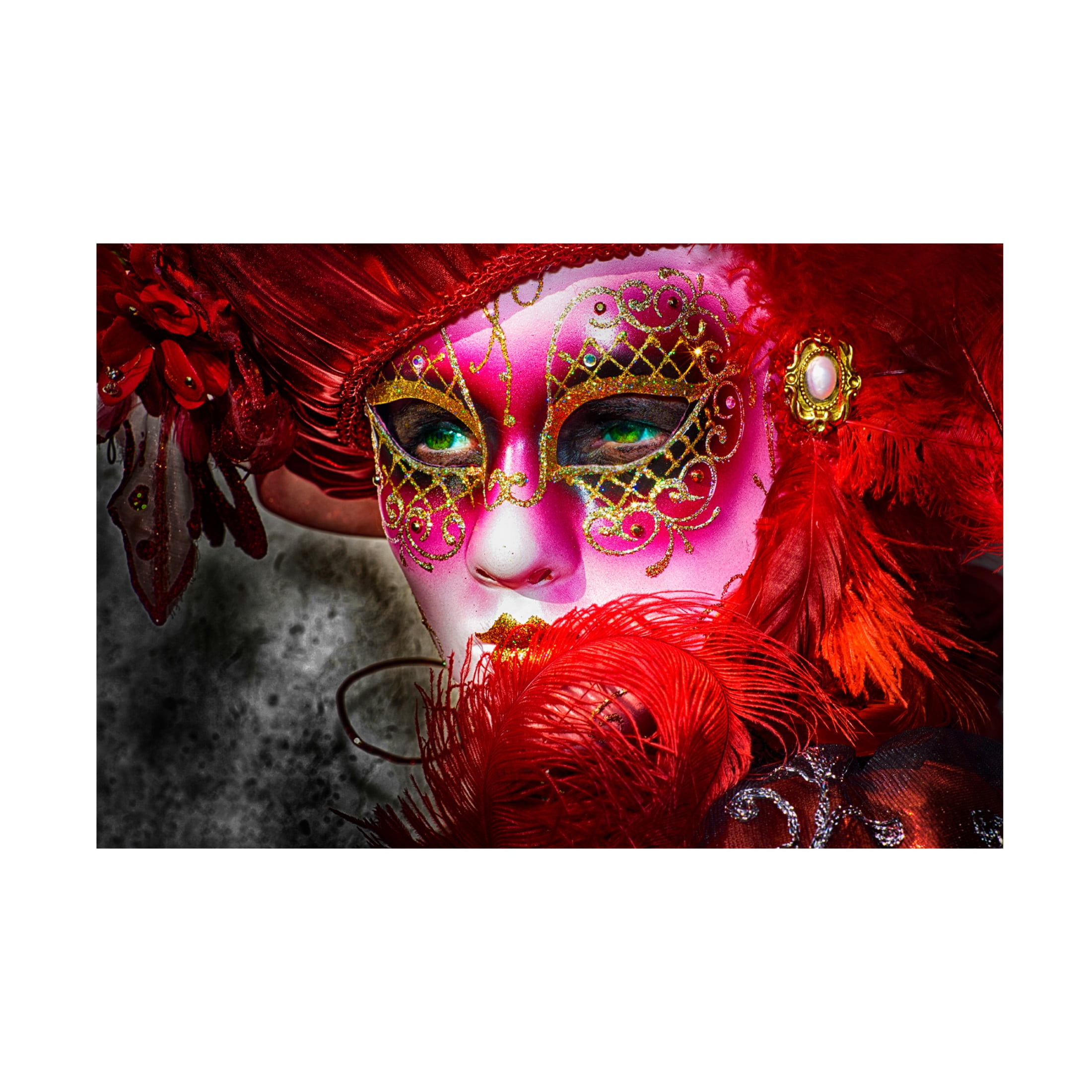 Trademark Fine Art Giovanni Cavalli Green Eyes And The Mask Canvas Wall Art