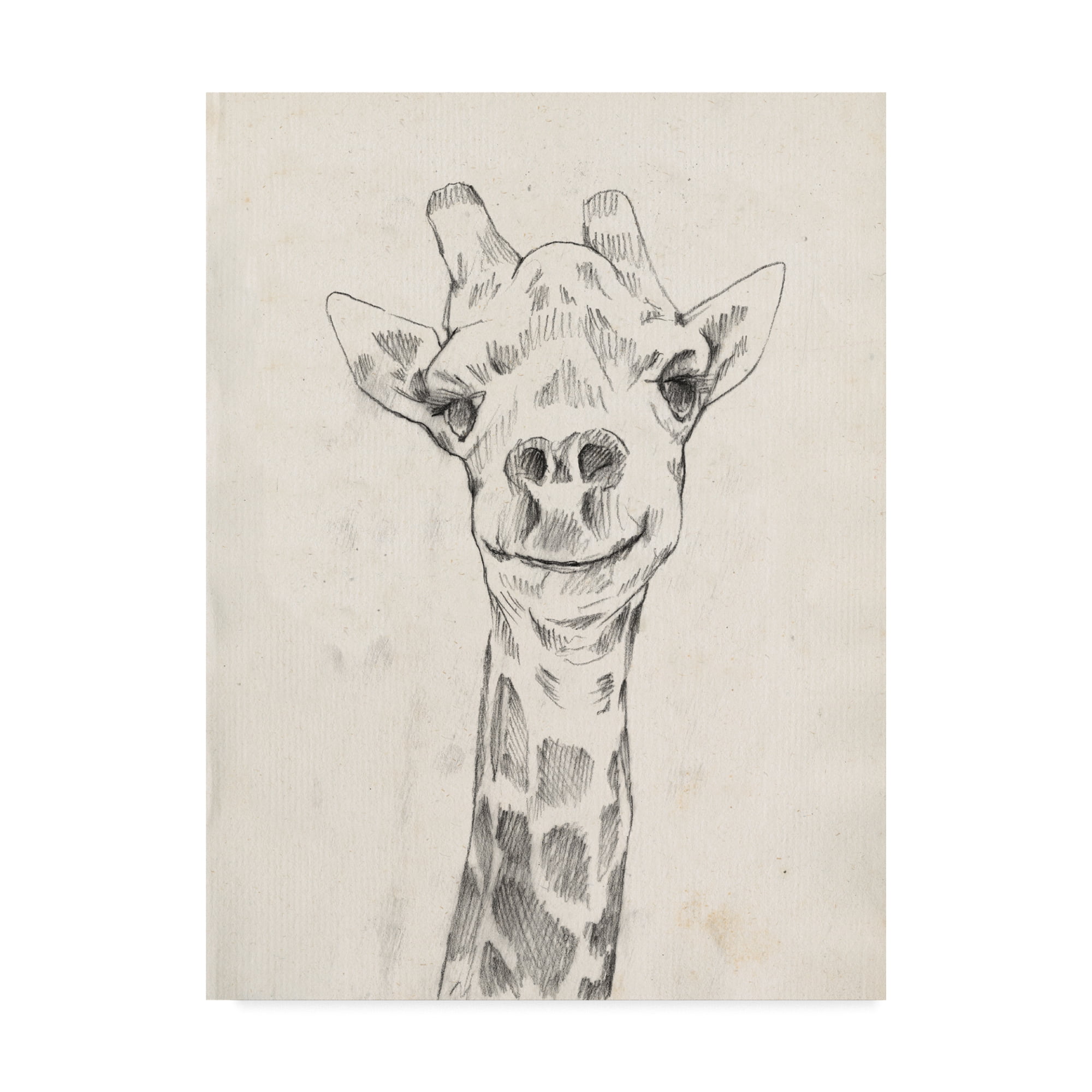 Trademark Fine Art 'Giraffe Portrait I' Canvas Art by Jennifer Goldberger
