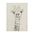 thumbnail image 1 of Trademark Fine Art 'Giraffe Portrait I' Canvas Art by Jennifer Goldberger, 1 of 4