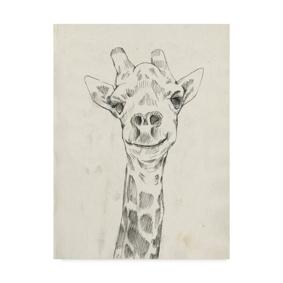 Trademark Fine Art 'Giraffe Portrait I' Canvas Art by Jennifer Goldberger