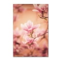 thumbnail image 1 of Trademark Fine Art 'Girls of Spring' Canvas Art by Philippe Sainte-Laudy, 1 of 3