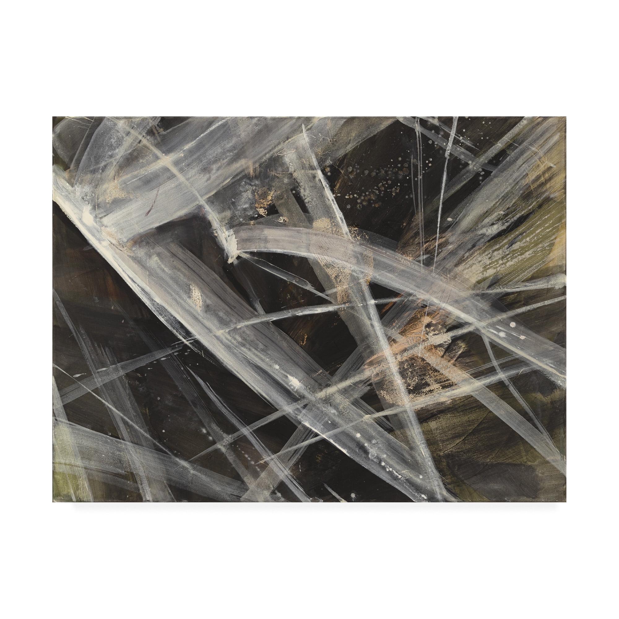 Trademark Fine Art 'Glacier Iv' Canvas Art by Albena Hristova