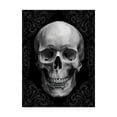 thumbnail image 1 of Trademark Fine Art 'Glam Skull' Canvas Art by Ethan Harper, 1 of 4