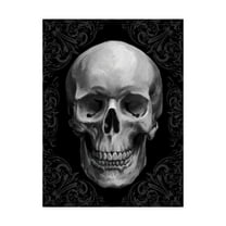 Trademark Fine Art 'Glam Skull' Canvas Art by Ethan Harper