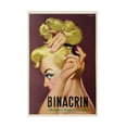 thumbnail image 1 of Trademark Fine Art 'Glamour Shampoo' Canvas Art by Vintage Apple Collection, 1 of 4