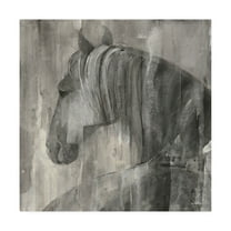 Trademark Fine Art 'Glance Greige Crop' Canvas Art by Albena Hristova