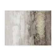 Trademark Fine Art 'Glitter Rain I' Canvas Art by Jennifer Goldberger