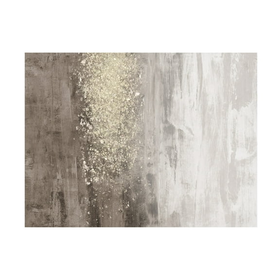 Trademark Fine Art Jennifer Goldberger Glitter Rain Ii Canvas Wall Art - 14x19