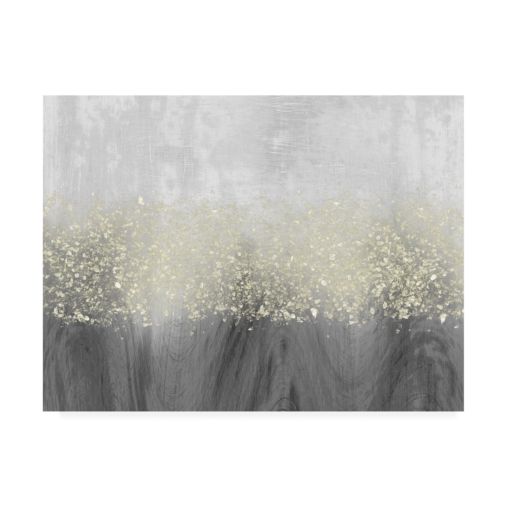 Trademark Fine Art 'Glitter Swirl II' Canvas Art by Jennifer Goldberger