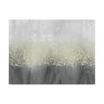 thumbnail image 1 of Trademark Fine Art 'Glitter Swirl II' Canvas Art by Jennifer Goldberger, 1 of 4