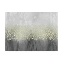 Trademark Fine Art 'Glitter Swirl II' Canvas Art by Jennifer Goldberger