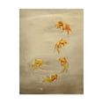 thumbnail image 1 of Trademark Fine Art 'Glittering Goldfish' Canvas Art by Peggy Harris, 1 of 3