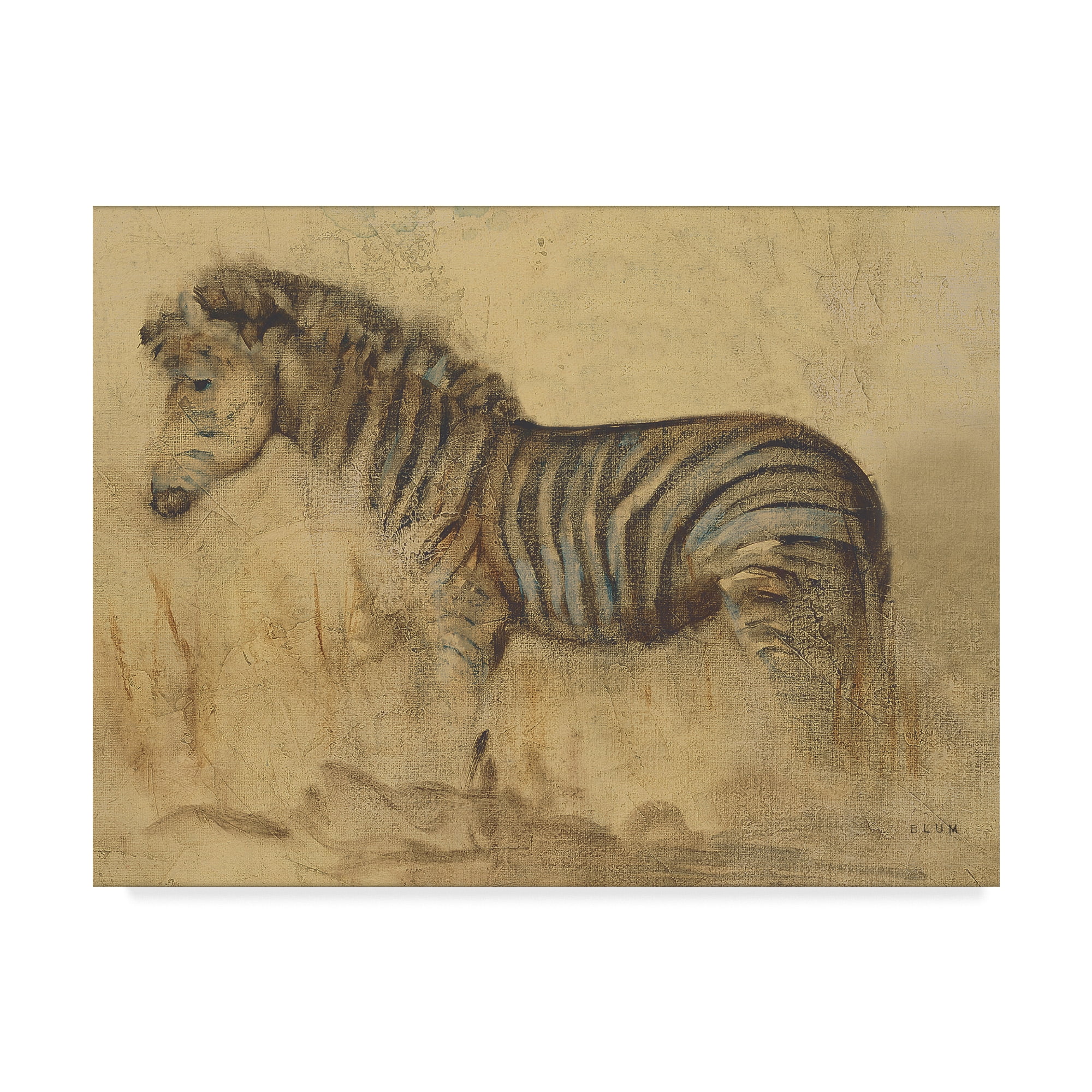 Trademark Fine Art 'Global Zebra Light Crop' Canvas Art by Cheri Blum