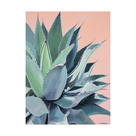 Trademark Fine Art 'Glory Agave' Canvas Art by Alana Clumec