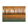 thumbnail image 1 of Trademark Fine Art 'Glow in the Afternoon I' Canvas Art by Tim O'Toole, 1 of 3