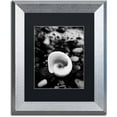 thumbnail image 1 of Trademark Fine Art 'Glowing Beach Shell' Canvas Art by PIPA Fine Art, Black Matte, Silver Frame, 1 of 1