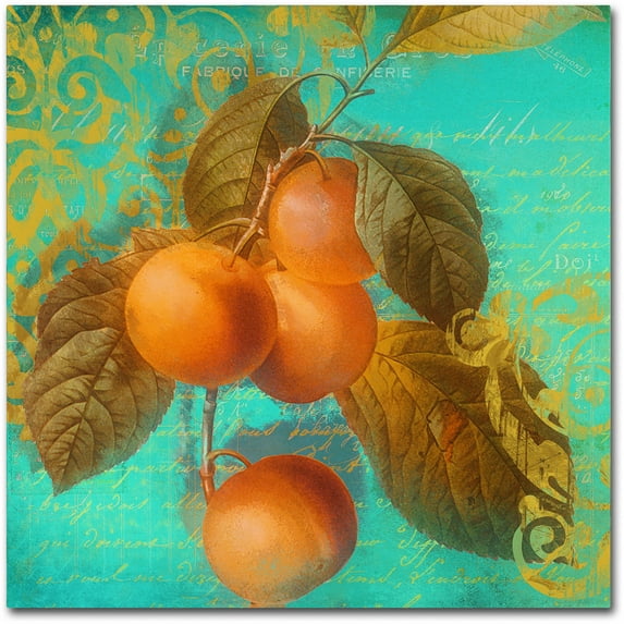 Trademark Fine Art "Glowing Fruits I" Canvas Art by Color Bakery