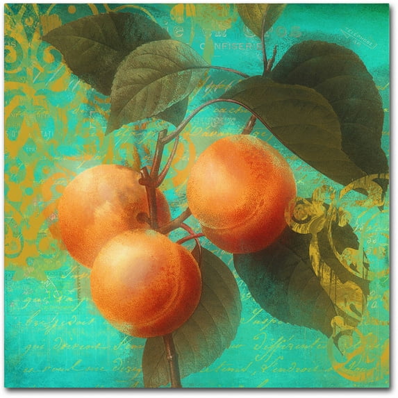 Trademark Fine Art "Glowing Fruits II" Canvas Art by Color Bakery