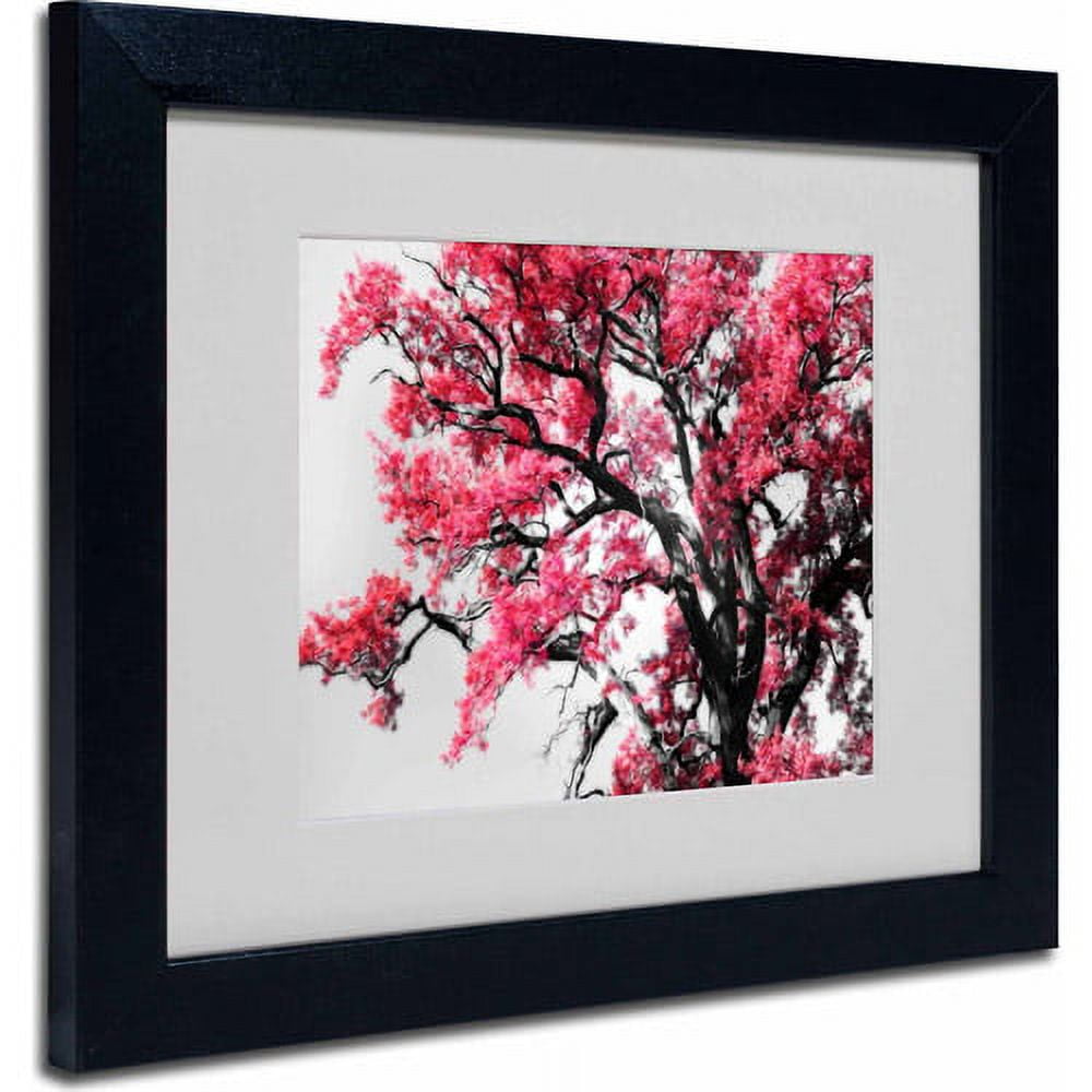 Trademark Fine Art "Glowing Tones" Canvas Art by Philippe Sainte-Laudy, Black Frame
