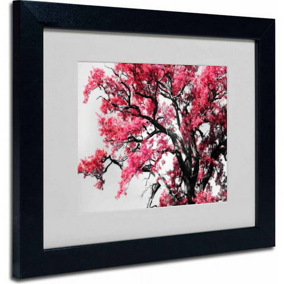 Trademark Fine Art "Glowing Tones" Canvas Art by Philippe Sainte-Laudy, Black Frame