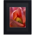 thumbnail image 1 of Trademark Fine Art "Glowing Tulip" Canvas Art by Kurt Shaffer, Black Matte, Black Frame, 1 of 4