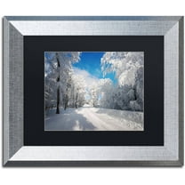 Trademark Fine Art "Going Nowhere" Canvas Art by Philippe Sainte-Laudy, Black Matte, Silver Frame