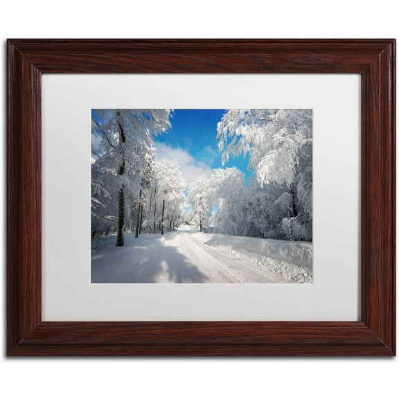 Trademark Fine Art "Going Nowhere" Canvas Art by Philippe Sainte-Laudy, White Matte, Wood Frame