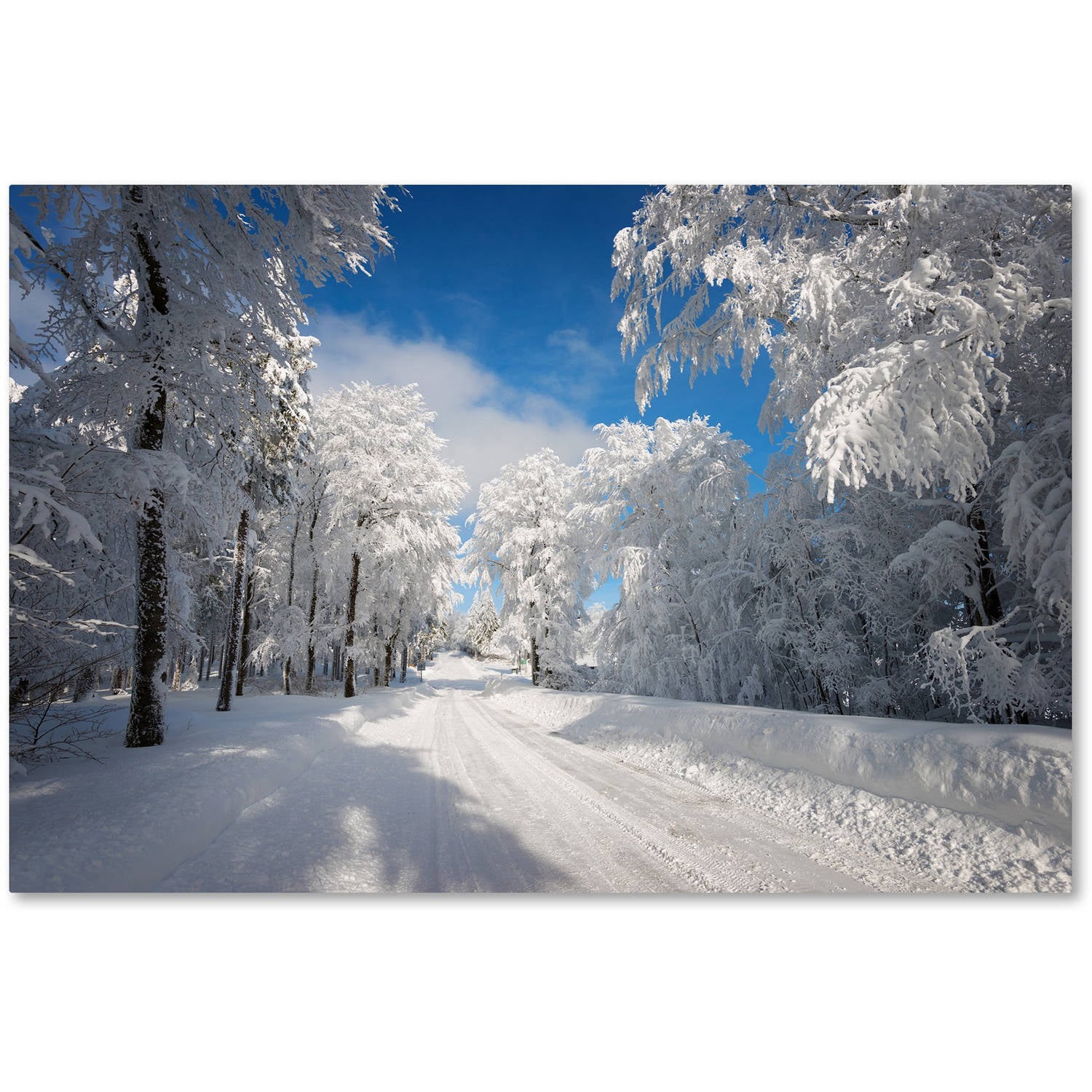 Trademark Fine Art "Going Nowhere" Canvas Art by Philippe Sainte-Laudy