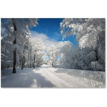 Trademark Fine Art "Going Nowhere" Canvas Art by Philippe Sainte-Laudy