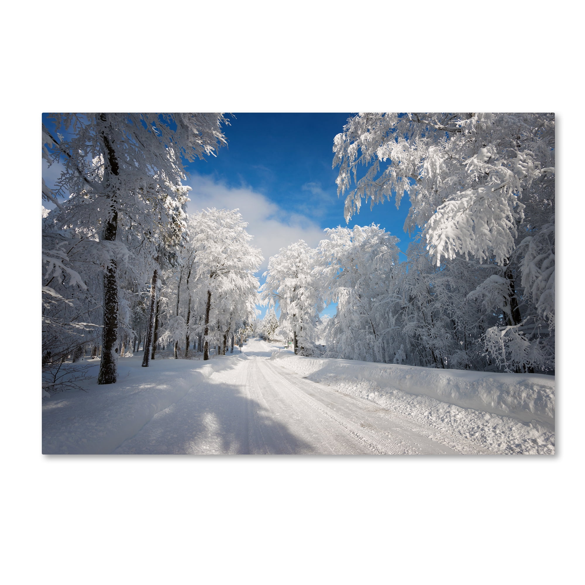 Trademark Fine Art "Going Nowhere" Canvas Art by Philippe Sainte-Laudy