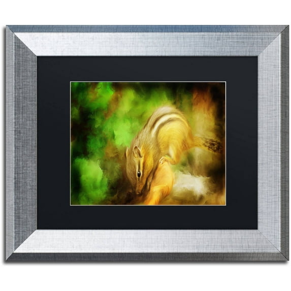 Trademark Fine Art "Going Nuts" Canvas Art by Lois Bryan Black Matte, Silver Frame