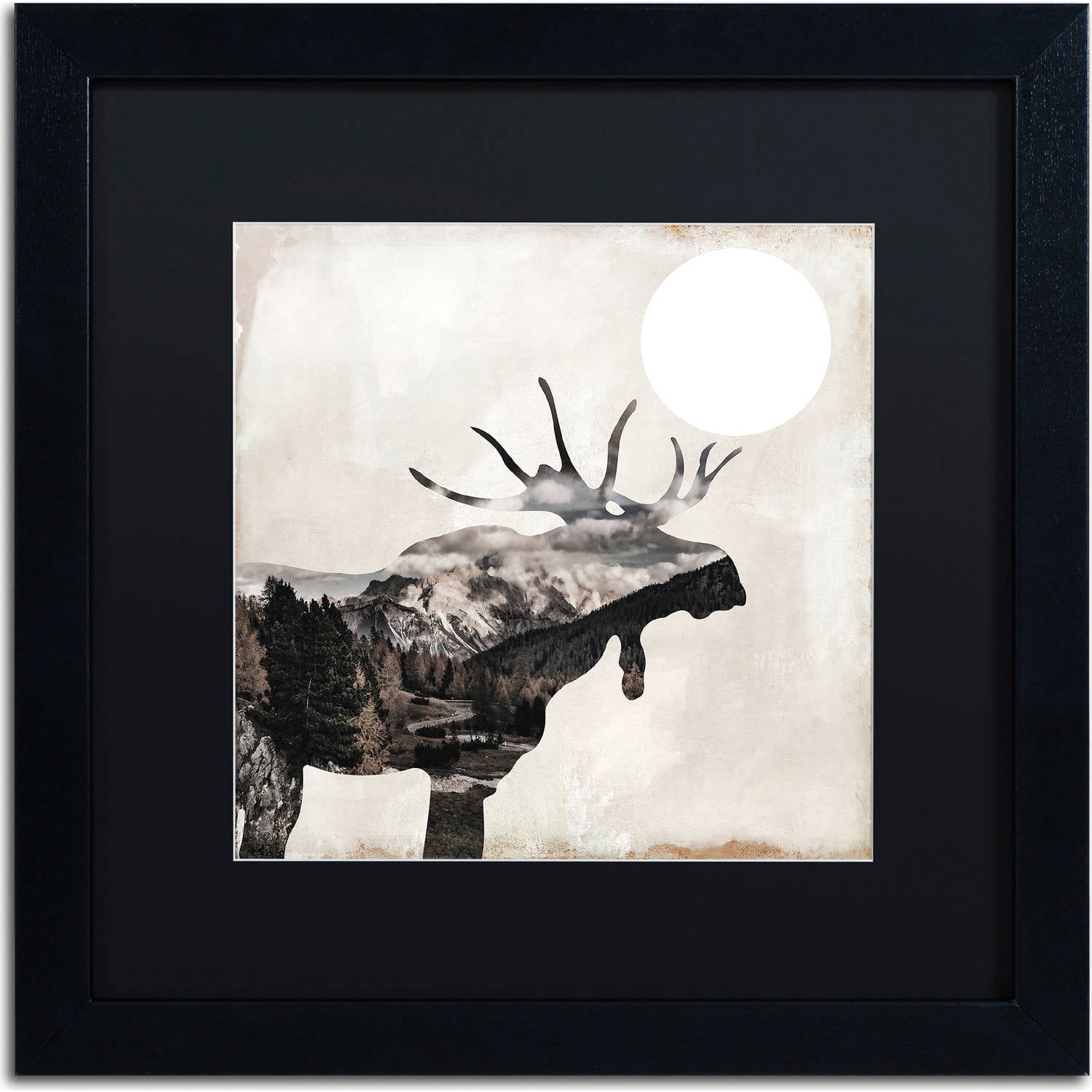 Trademark Fine Art "Going Wild V" Canvas Art by Color Bakery, Black Matte, Black Frame