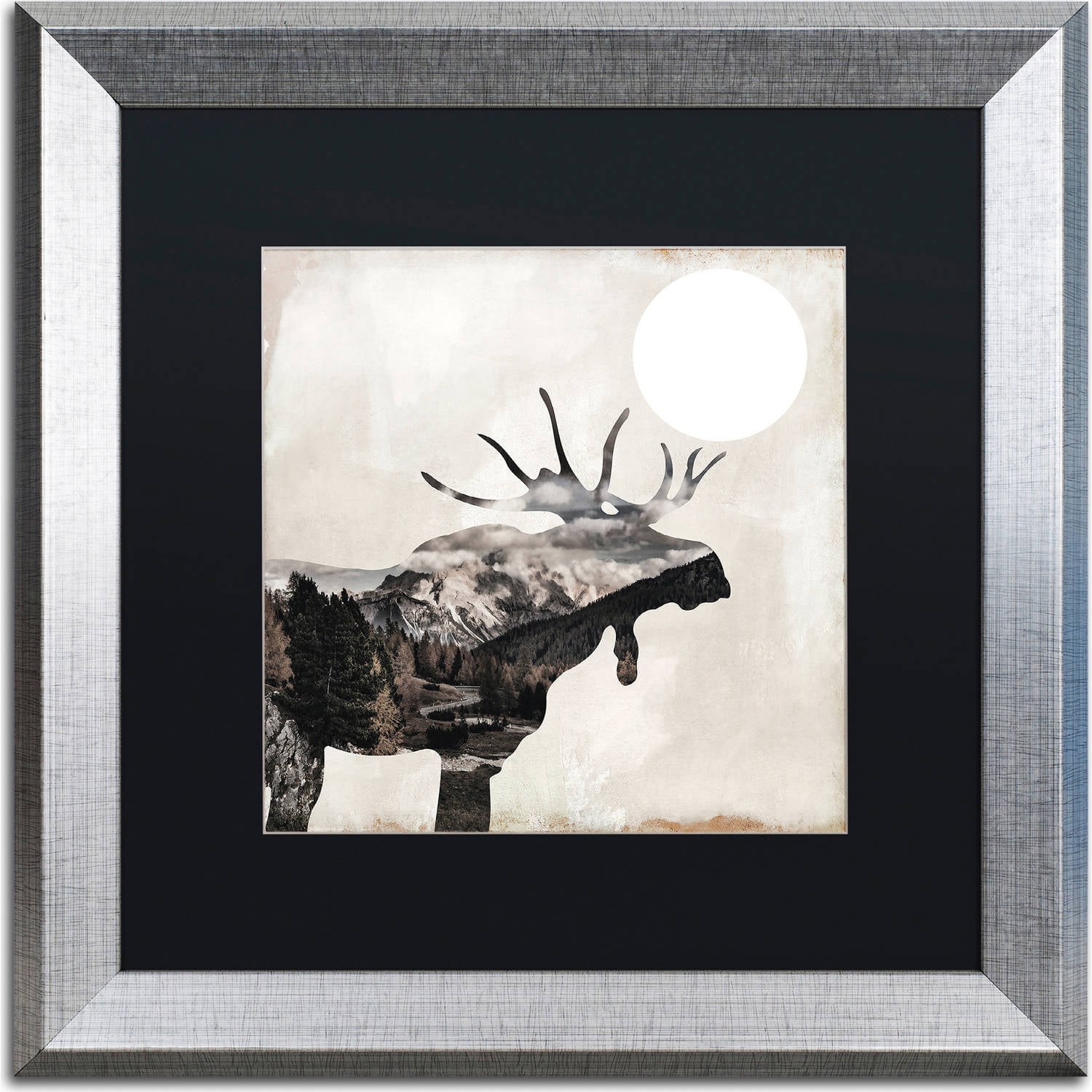 Trademark Fine Art "Going Wild V" Canvas Art by Color Bakery, Black Matte, Silver Frame