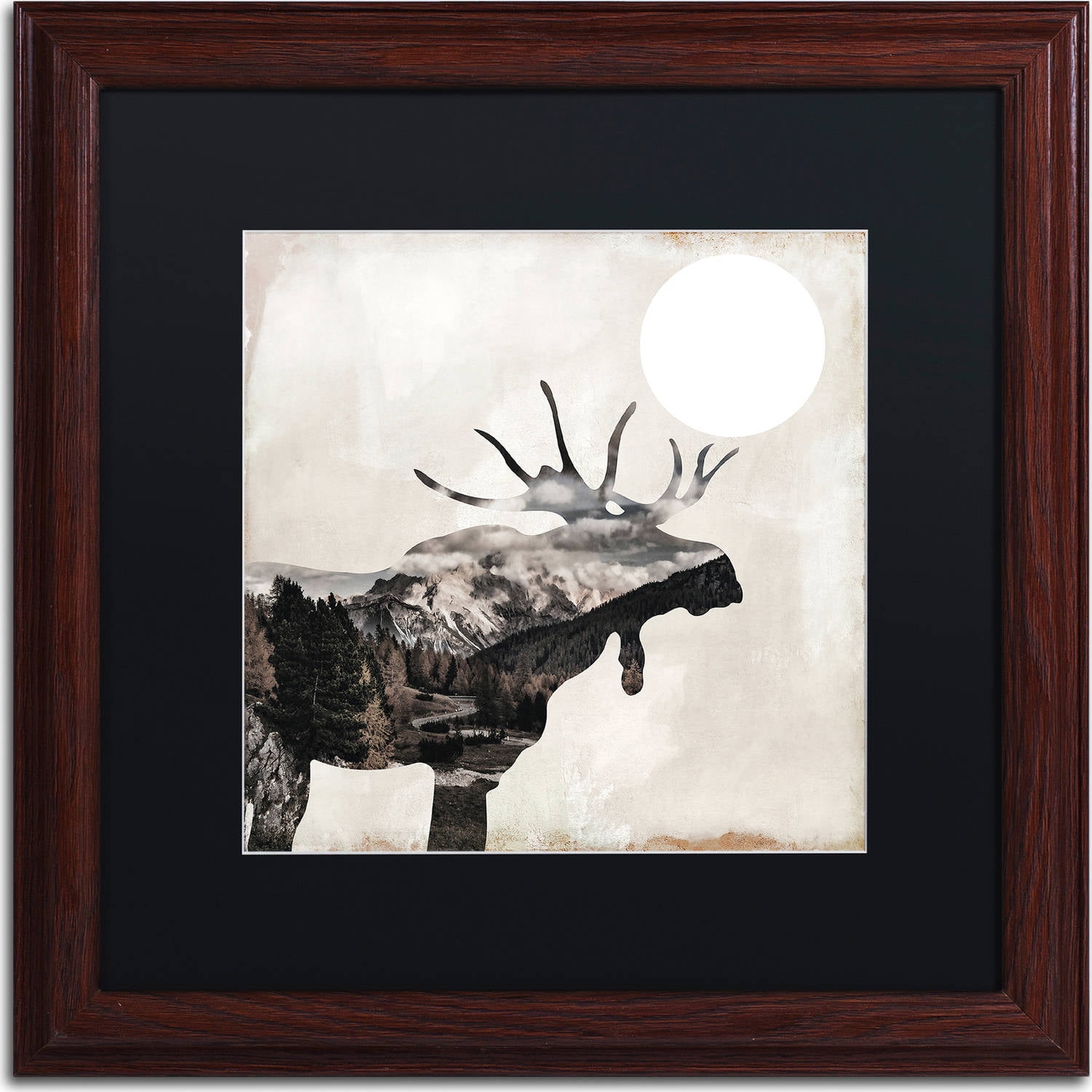 Trademark Fine Art "Going Wild V" Canvas Art by Color Bakery, Black Matte, Wood Frame