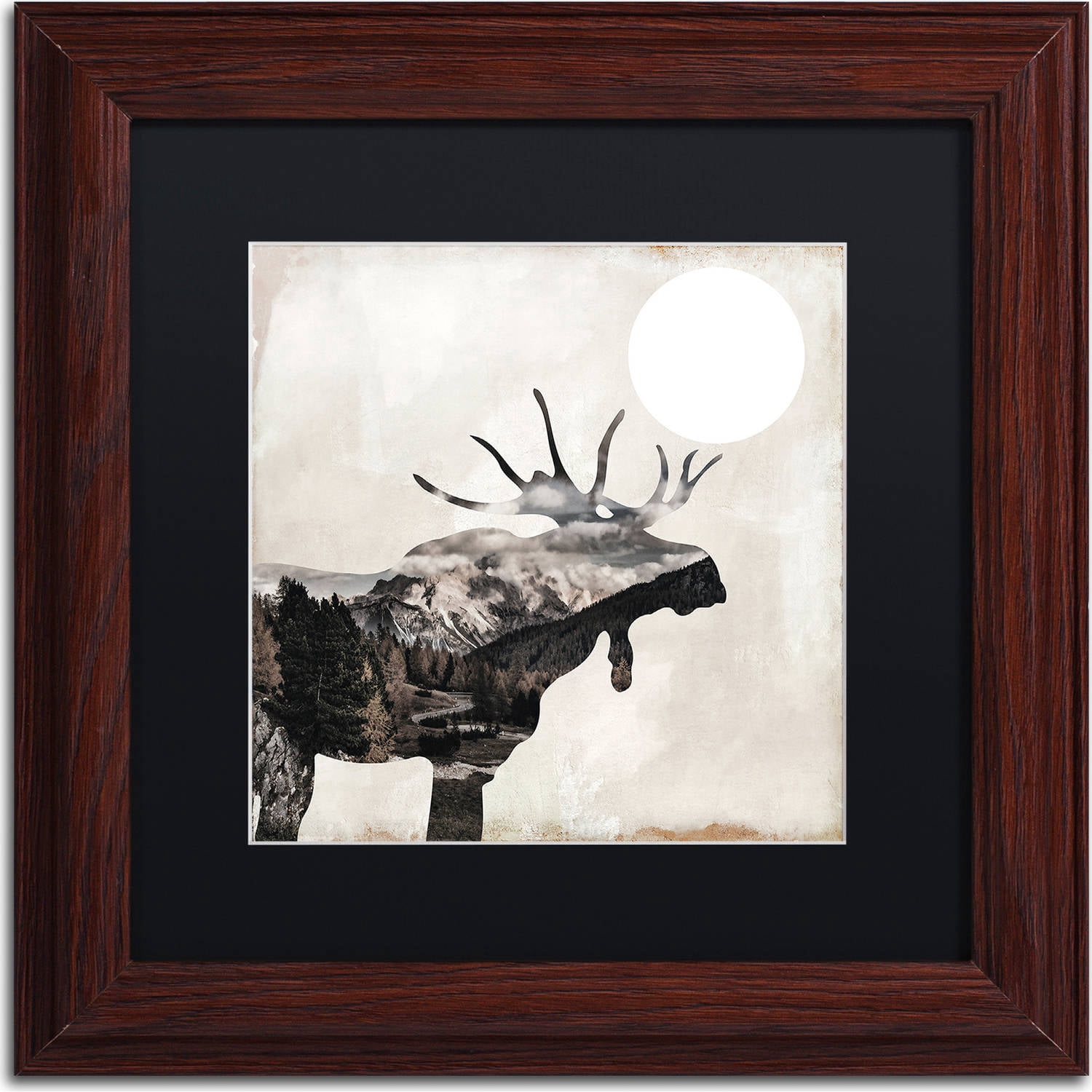 Trademark Fine Art "Going Wild V" Canvas Art by Color Bakery, Black Matte, Wood Frame