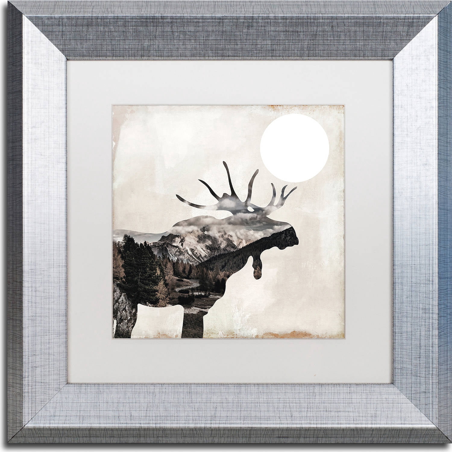 Trademark Fine Art "Going Wild V" Canvas Art by Color Bakery, White Matte, Silver Frame