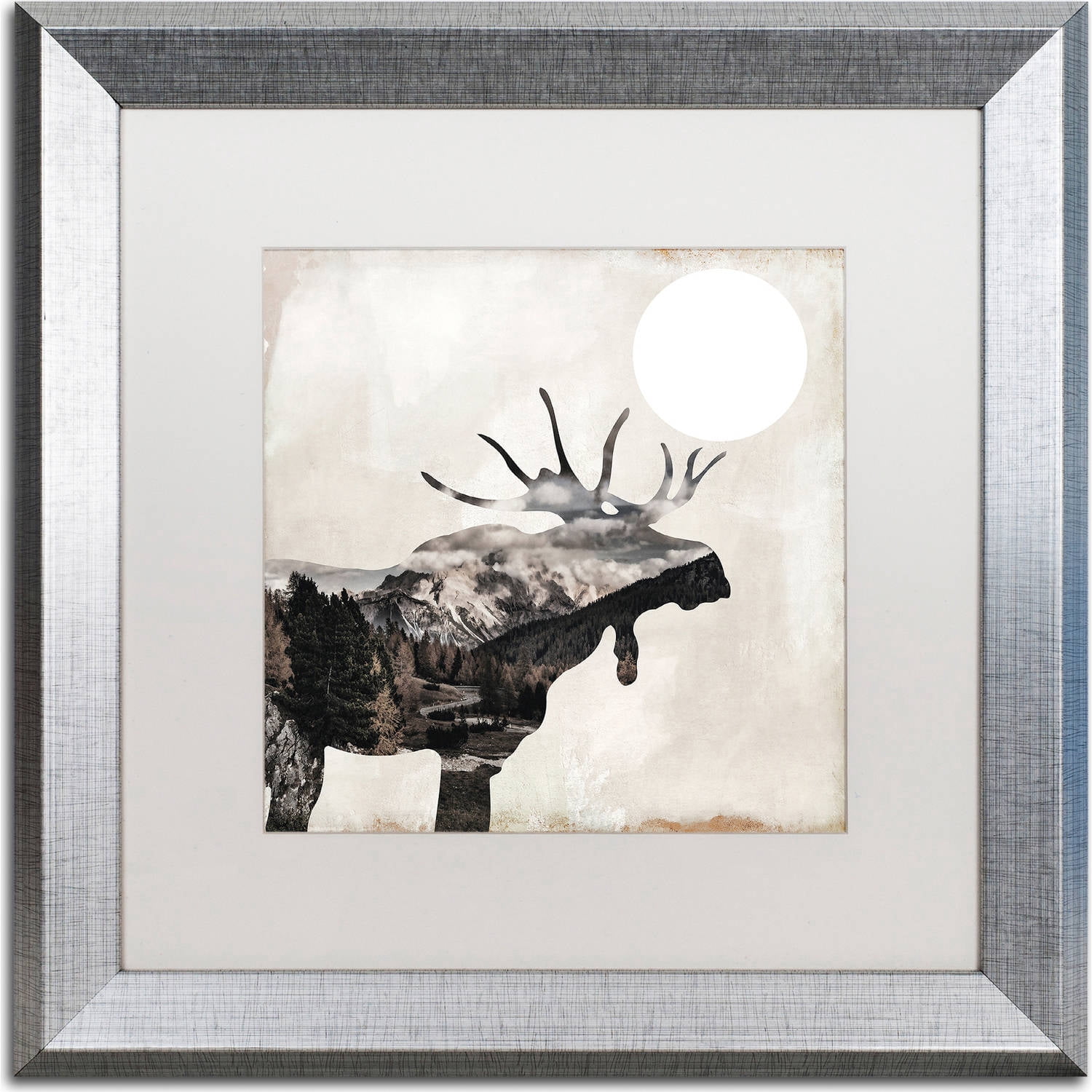 Trademark Fine Art "Going Wild V" Canvas Art by Color Bakery, White Matte, Silver Frame