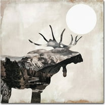 Trademark Fine Art "Going Wild V" Canvas Art by Color Bakery