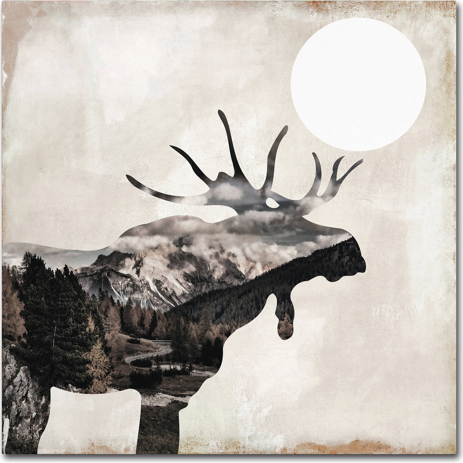 Trademark Fine Art "Going Wild V" Canvas Art by Color Bakery