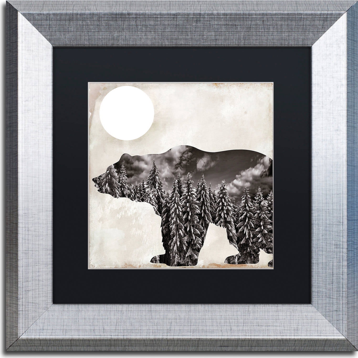 Trademark Fine Art "Going Wild VI" Canvas Art by Color Bakery, Black Matte, Silver Frame