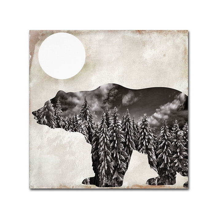 Trademark Fine Art "Going Wild VI" Canvas Art by Color Bakery