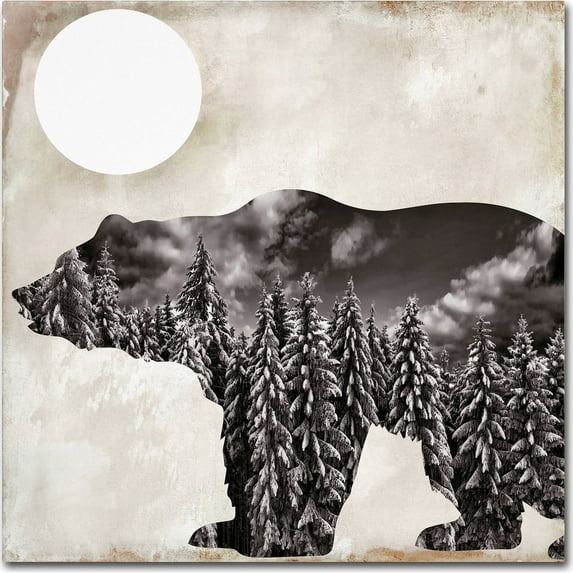 Trademark Fine Art "Going Wild VI" Canvas Art by Color Bakery