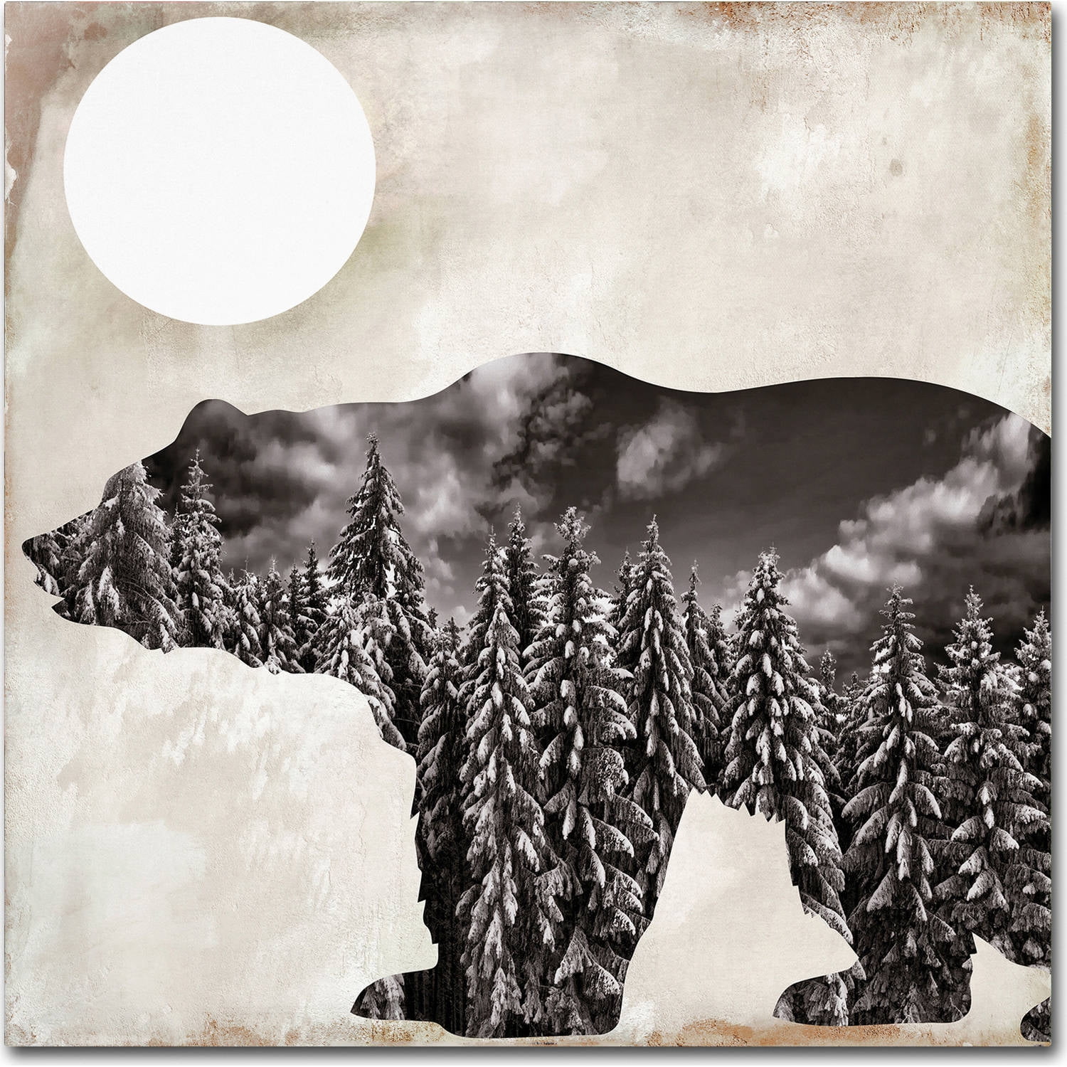 Trademark Fine Art "Going Wild VI" Canvas Art by Color Bakery