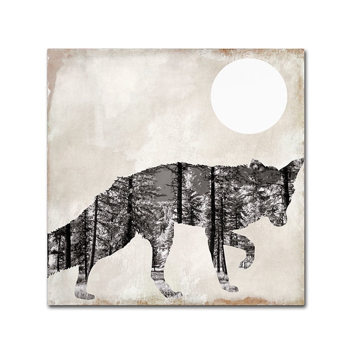 Trademark Fine Art "Going Wild VII" Canvas Art by Color Bakery